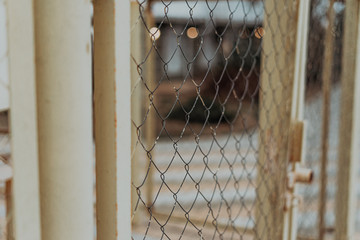 fence mesh close-up macro photography
