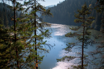 Lacul Rosu, Harghita - Romania, Europe