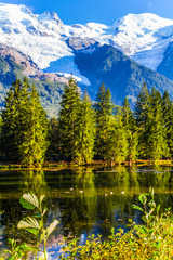 Wall Mural - The snow-capped Alps