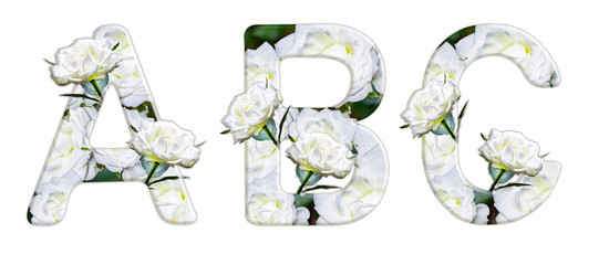 English letters A, B, C from white roses