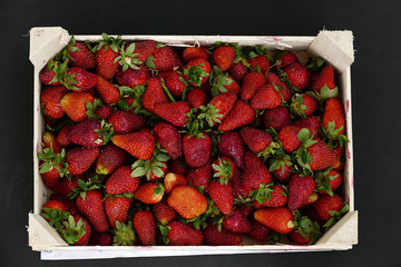 Wall Mural - a safe full of large amounts of fresh strawberries,