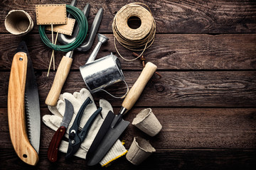 gardening tools on dark wooden background with space for text top view