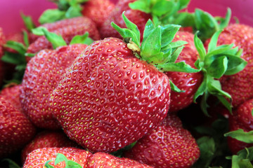 Fresh ripe red strawberries.