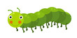 Cartoon animal caterpillar on white background illustration