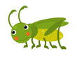 Cartoon animal grasshopper hopper on white background illustration