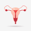 © mast3r - female reproductive system uterus cervix ovaries and fallopian tubes anatomy biology medicine healthcare concept flat vector illustration