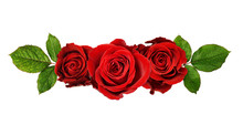 Red Rose Flowers In A Floral Arrangement