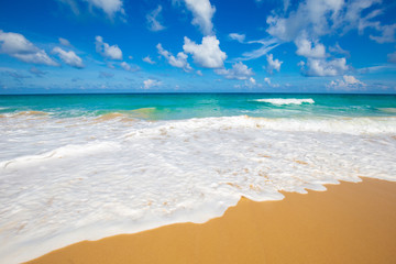 Sea beach wave blue sky sunny background summer vacation