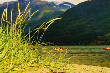 Sticker - Fjord with people kayaking, Flam Norway