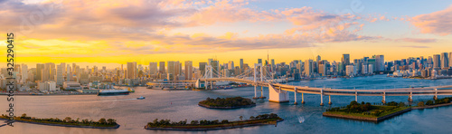 Fototapeta na szkło Panoramiczny widok z lotu ptaka Tokio linie horyzontu z tęcza mostem i Tokyo górujemy nad Tokio zatoką w dniu od Odaiba w Tokio mieście Kanto Japonia.