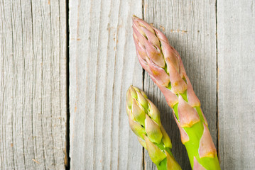 Wall Mural - Asparagus spears