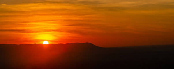 amazing sunset and sunrise.panorama silhouette tree in africa with sunset.tree silhouetted against a