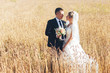 Young wedding couple standing in a field of pigweed in the setting sun. Newlyweds hug with a smile.