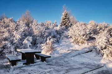 bench in winter park on frosty winter sunny day in Iceland