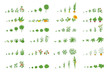 © Ilia - Agricultural plants, growth set. Growing plants animation progression. Vector planting infographic.