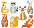 children's vector illustration of cute forest animals