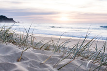 Sunrise Light On White Sand Beach With Dune Grass In Australia With Turquoise Surf Waves Of The Pacific Ocean 
