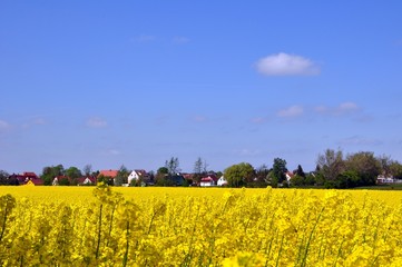 Poster - Wandern um Schmannewitz