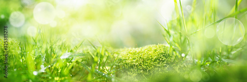 Cuadros en Lienzo Meadow landscape with bright bokeh