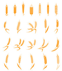 Wall Mural - Set of simple and stylish Wheat Ears icons and design elements for beer, organic local farm fresh food, bakery themed design.