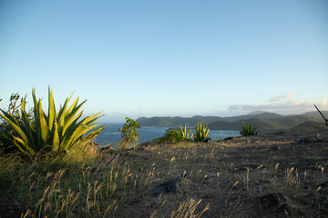 Wall Mural - Breathtaking coastal landscape scenery and and bright blue sky