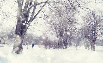 Winter forest landscape. Tall trees under snow cover. January frosty day in the park.