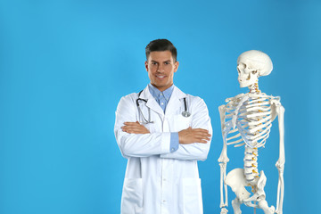 Canvas Print - Male orthopedist with human skeleton model on blue background