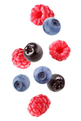 Wall Mural - flying blueberries, chokeberry and raspberry isolated on white background with a clipping path.