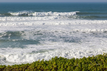 Ocean coast with grass, moviment waves with foam. Wind power. Turquoise water.