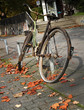 trashed and rusty bike with autumn leaves, symbol for stolen bicycle and vandalism