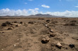 lonely stony desert with bushes and mountains in background, on fuerteventura, canary islands, spain