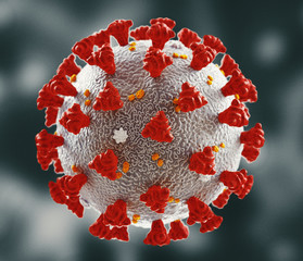 Wall Mural - Coronavirus microscopic view. Floating influenza virus cells. Dangerous asian ncov corona virus, SARS pandemic risk concept. 3d rendering