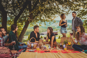 Wall Mural - Group of friends eating in the nature