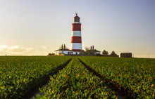 Happisburgh Lighthouse In Colour Landscape