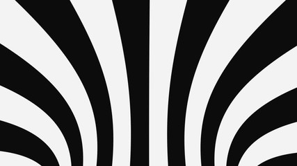 Wall Mural - Black and white psychedelic optical illusion. Abstract hypnotic animated background. Spiral geometric looping monochrome wallpaper