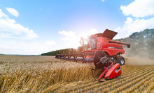 Red Grain Harvesting Combine In A Sunny Day. Yellow Field With Grain. Agricultural Technic Works In Field. Closeup.