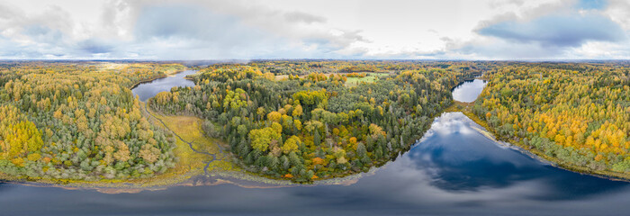 Wall Mural - Forest in autumn colors. Red, yellow, orange, green colored deciduous trees in fall. Paganamaa, Estonia, Europe