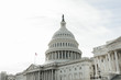© Dennis - United States Capitol in Washington DC