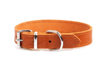 brown leather collar isolated over white background