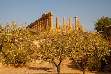 Valley of the Temples