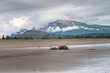 © Lori Labrecque - Mother grizzly bear and two cubs sleeping on the beach with a beautiful snow cloud covered mountain and pine trees in the background. Image taken in Lake Clark National Park and Preserve, Alaska.