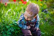 © Elena  - little boy in a cherry blossom garden