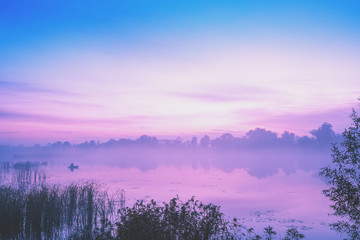 Poster - Magic sunrise over the lake. Misty early morning, rural landscape, wilderness, mystical feeling. Serenity lake in magical light