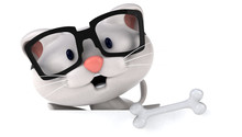 Fun Cat - 3D Illustration