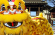 Chinese lion dance during chinese new year celebration