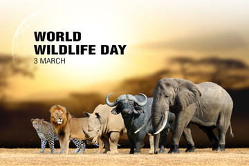 world wildlife day. text on big five background