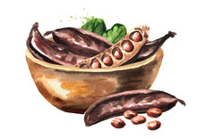 Bowl With Carob Pods. Hand Drawn Watercolor Illustration  Isolated On White Background\
