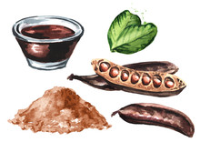 Carob Pods, Powder And Carob Molasses Set. Hand Drawn Watercolor Illustration  Isolated On White Background