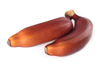 Wall Mural - Red bananas isolated on white