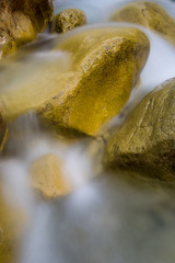 Wall Mural - stones in run of mountain brook